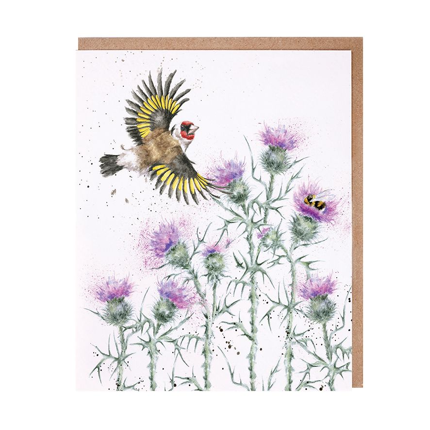 Wrendale Cards Feathers and Thistles Gold Finch