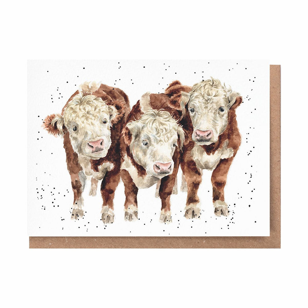 Wrendale Cards Paddy Percy and Pedro