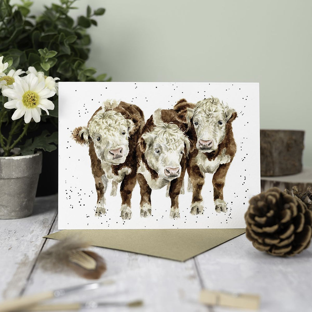 Wrendale Cards Paddy Percy and Pedro