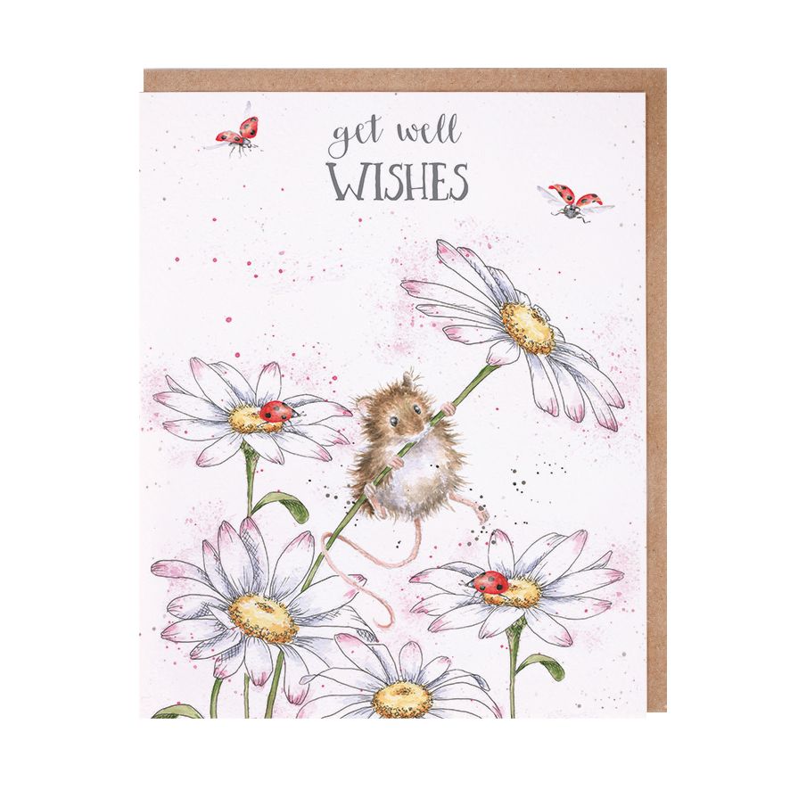Wrendale Cards Get Well Wishes