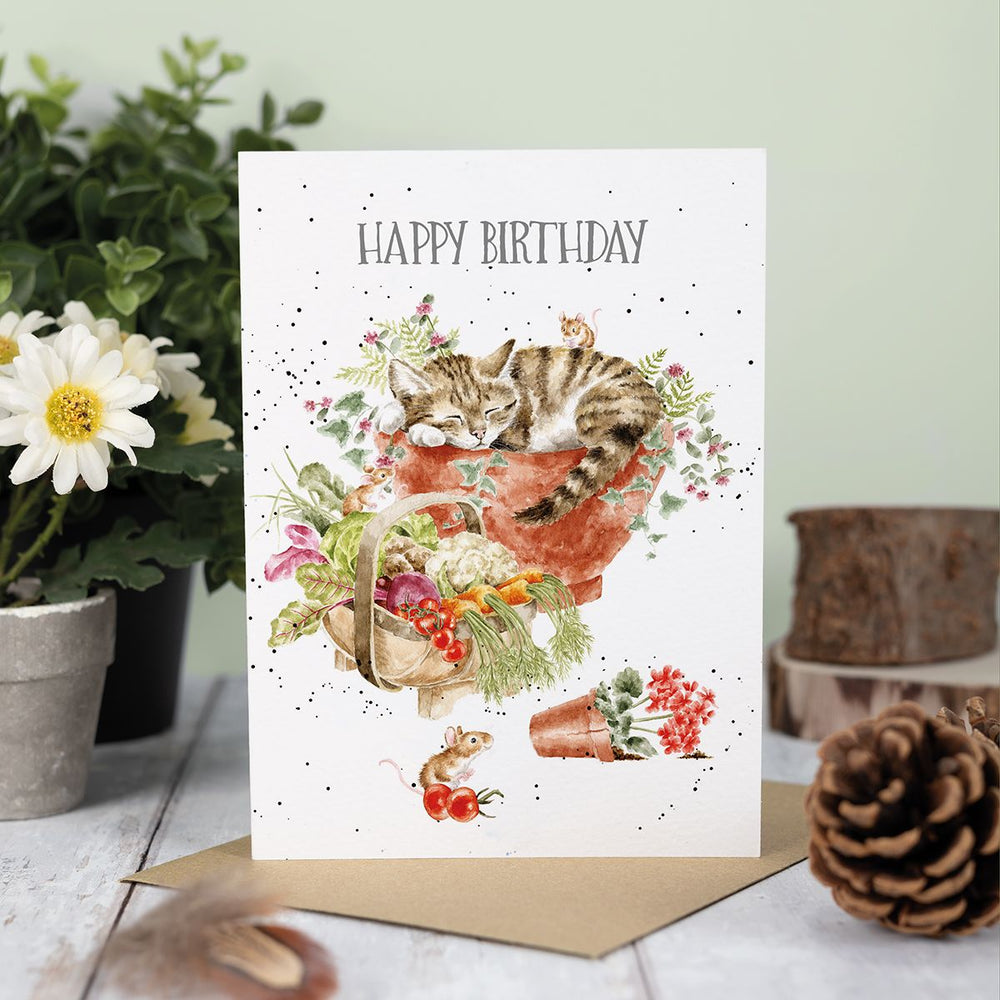 Wrendale Cards Purrrfect Birthday