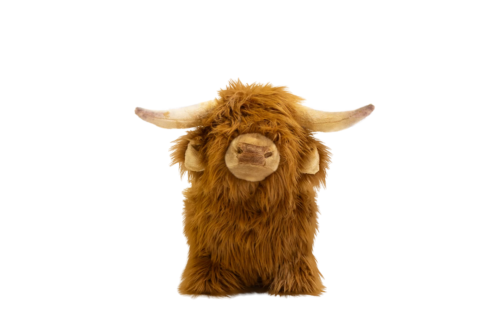Wild & Soft Highland Cow Soft Bouncy
