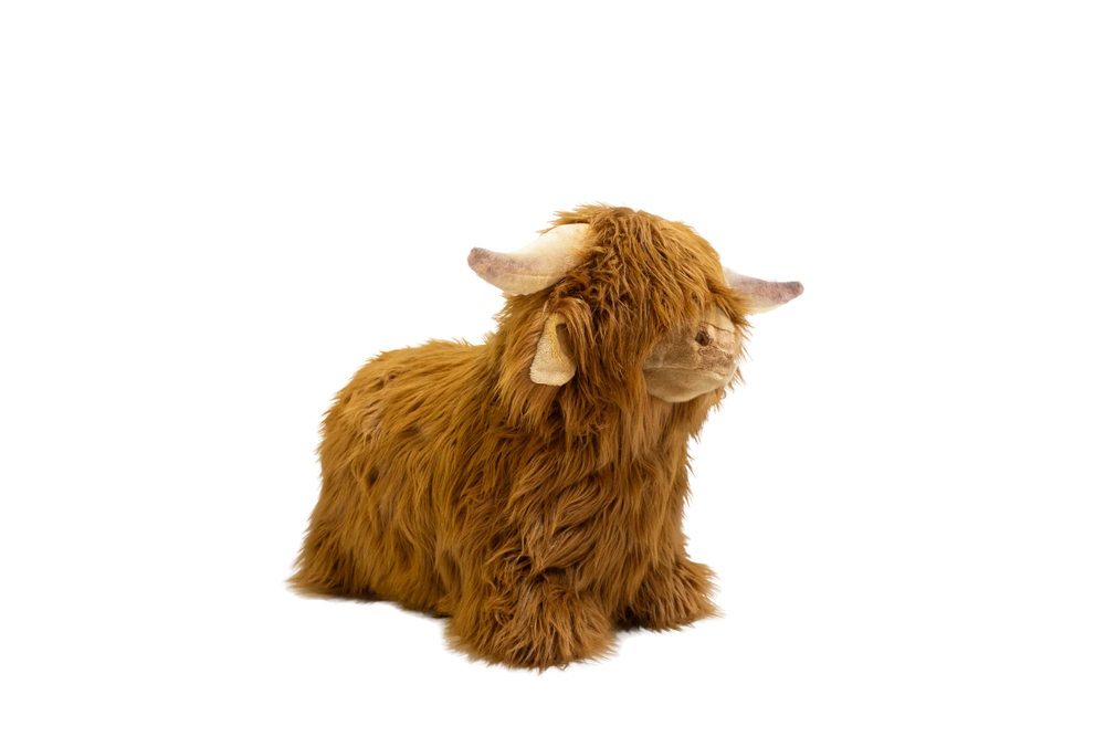 Wild & Soft Highland Cow Soft Bouncy