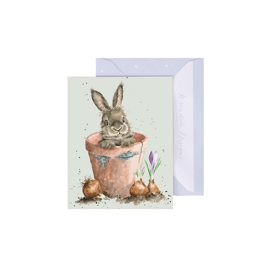 Wrendale Gift Enclosure Card The Flower Pot