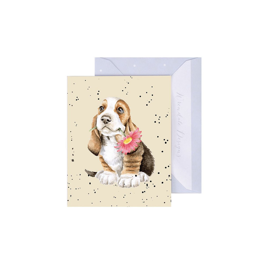 Wrendale Gift Enclosure Card Just for You