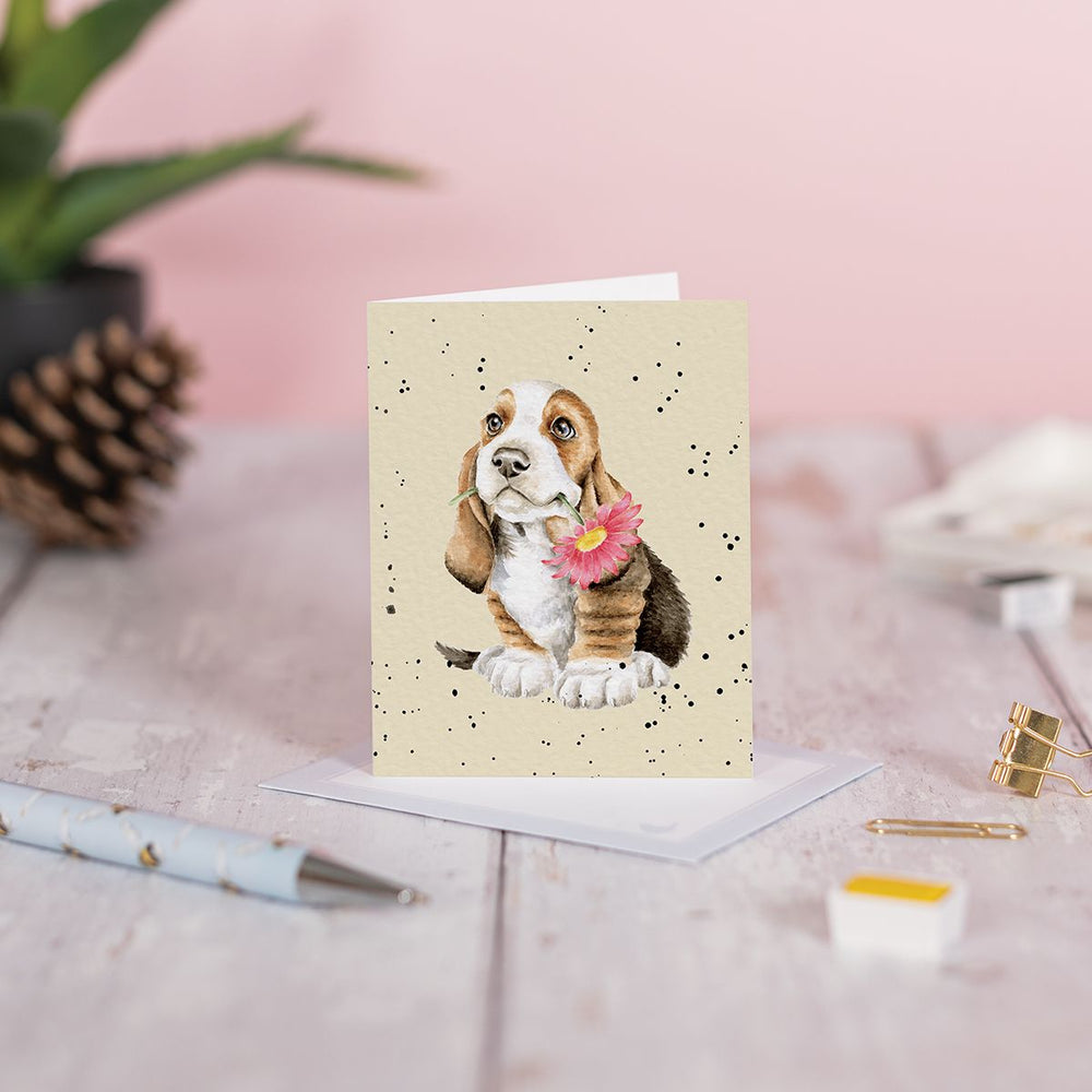 Wrendale Gift Enclosure Card Just for You