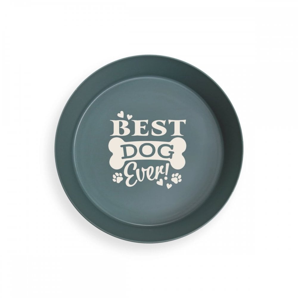 The Dog Bowl Best Dog Ever