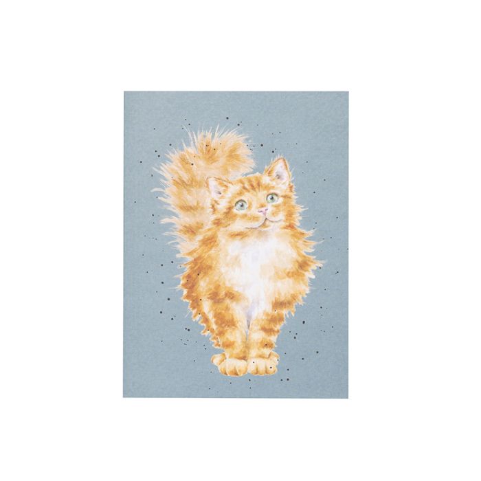 Wrendale Small Notebook Just Purrfect