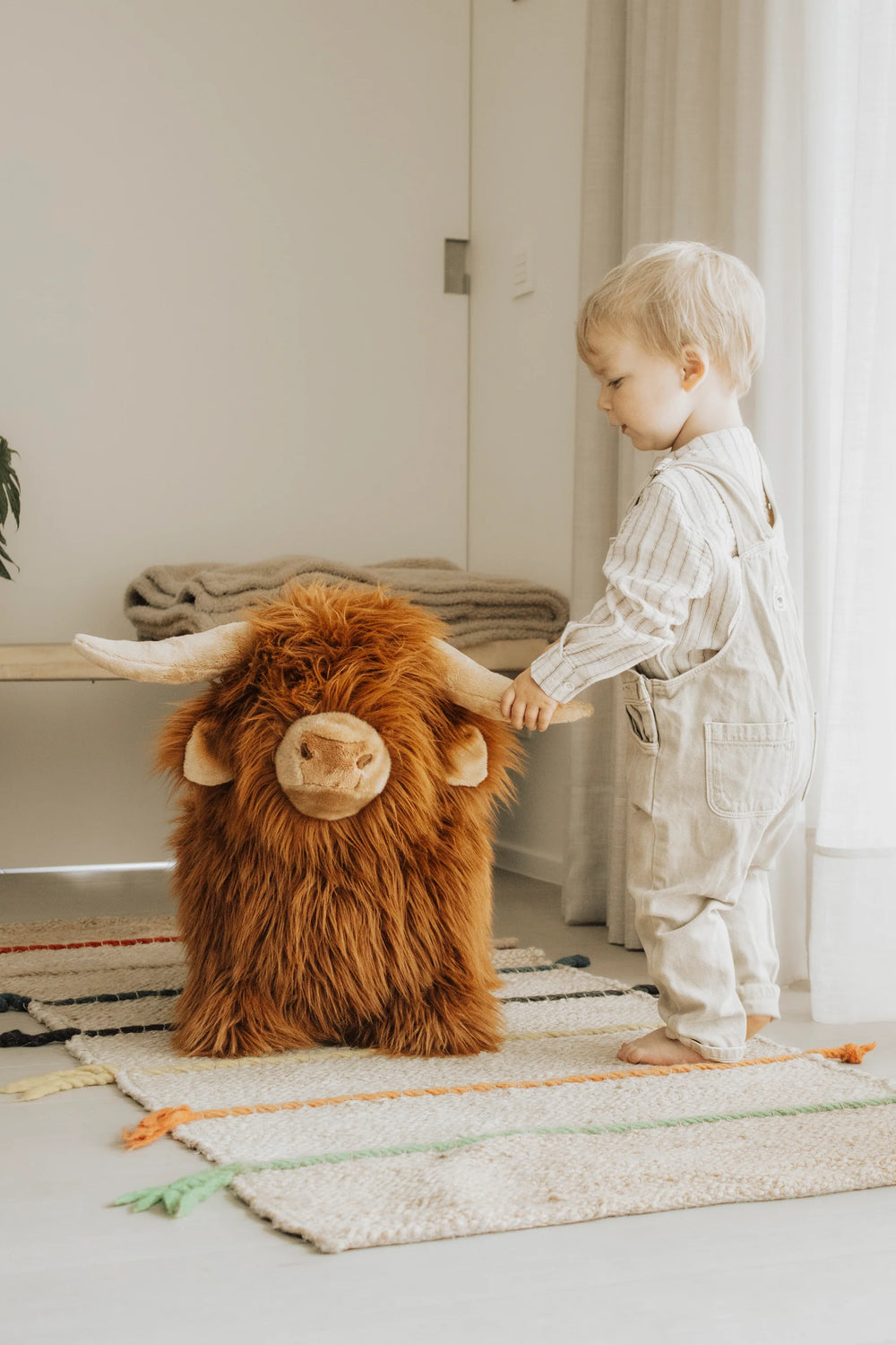 Wild & Soft Highland Cow Soft Bouncy