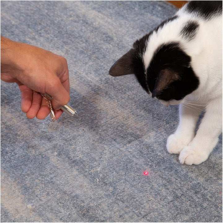 KIKK - Rechargeable Laser Pointer