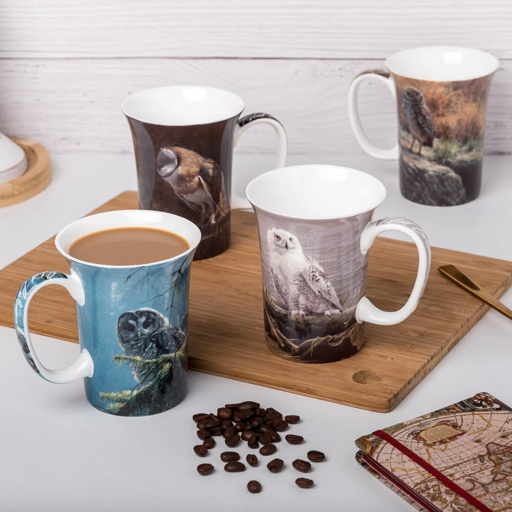 Robert Bateman Owls Set of 4 Mugs
