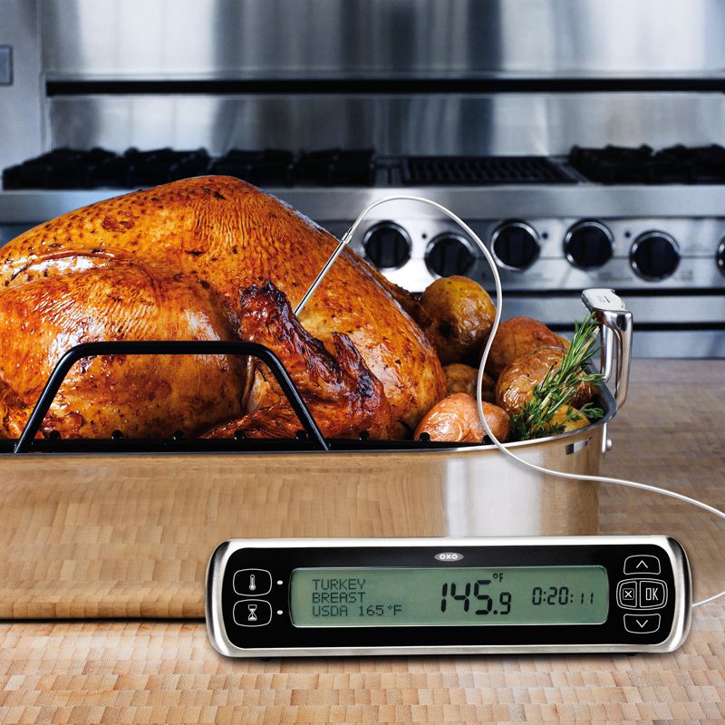 OXO - Chef Leave-In Thermometer