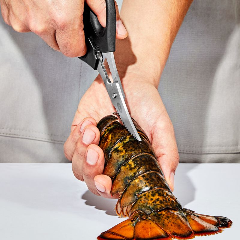 OXO - Seafood Scissors