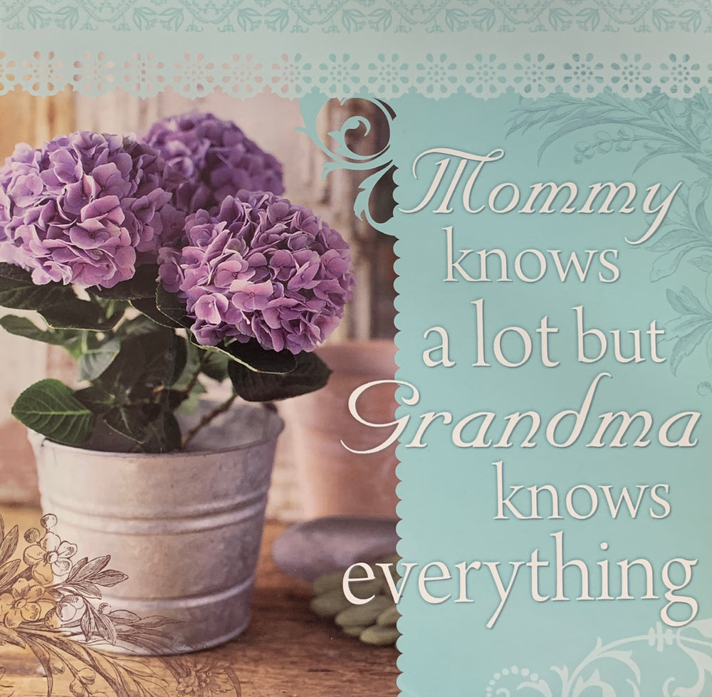Sentiment Kitchen Towel - Grandma knows Everything